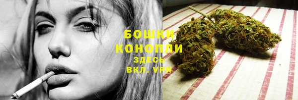 PSILOCYBIN Арсеньев