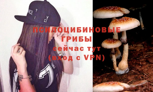 PSILOCYBIN Арсеньев